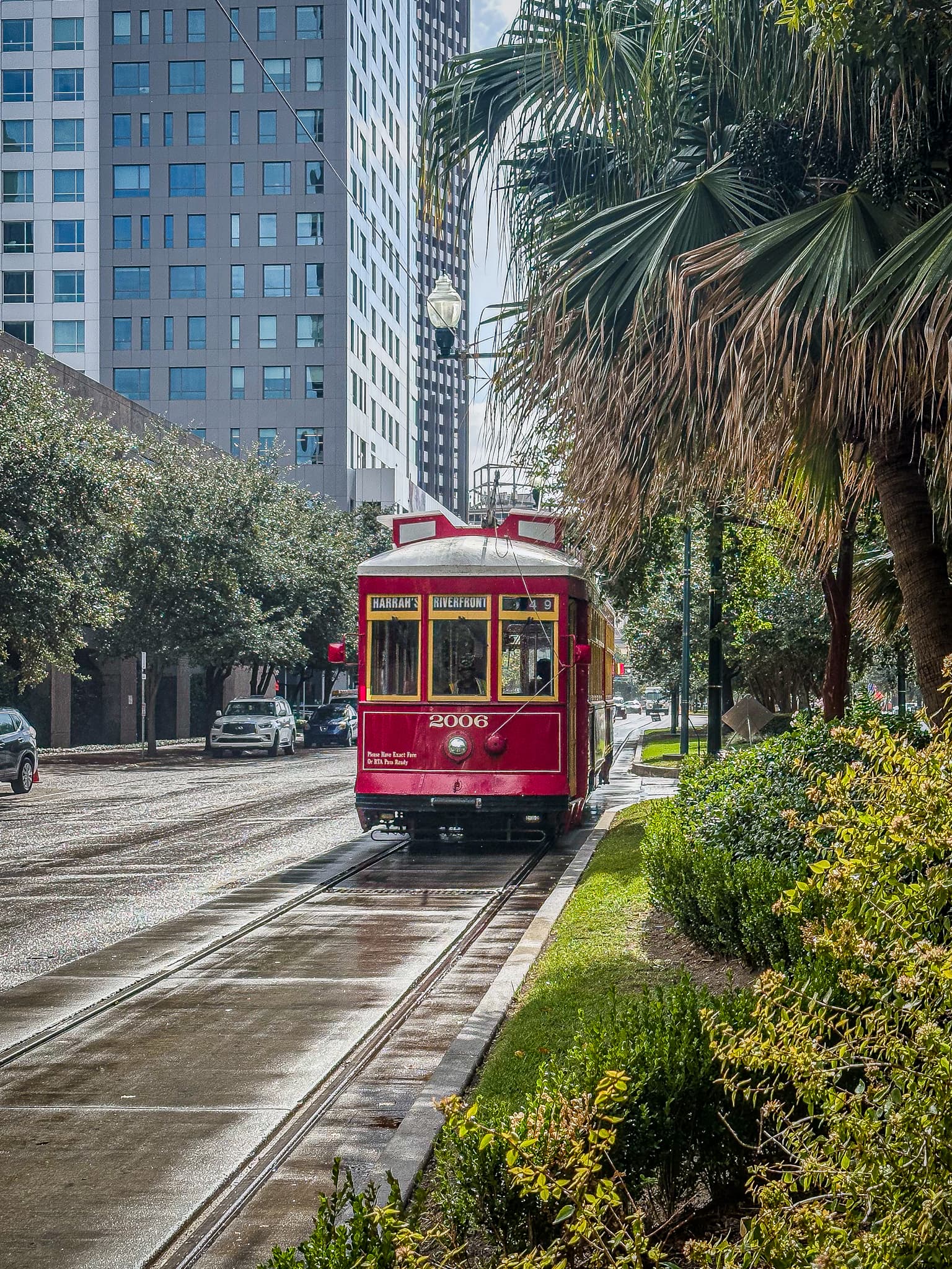 Red Streetcar On Canal Street New Orleans