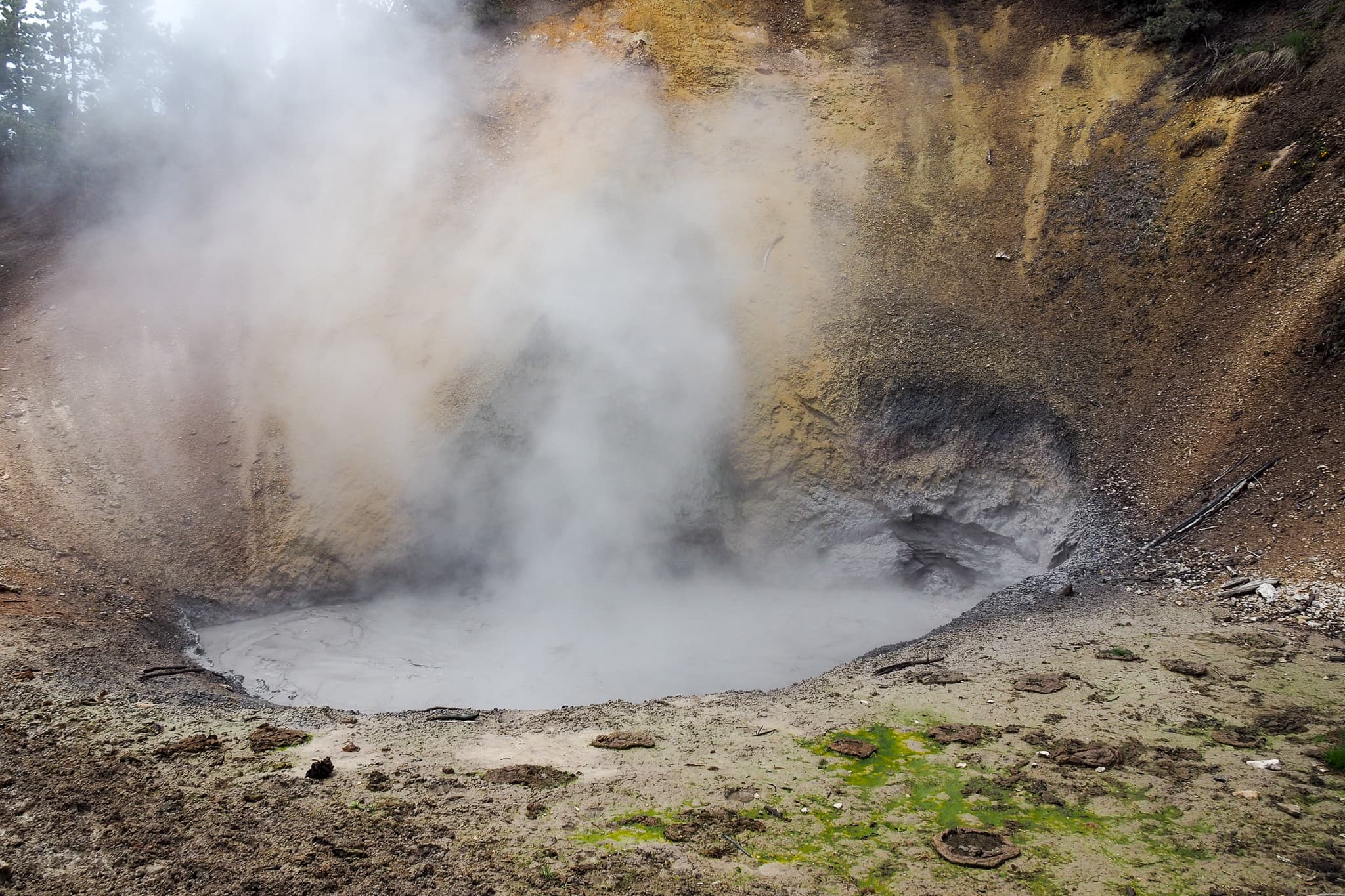 Steaming Mud Volcano At Yellowstone National Park