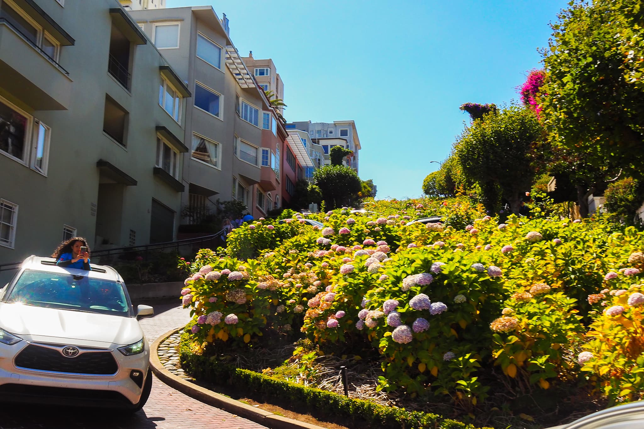 Lombard Street San Francisco Winding Road Greenery Blue Sky