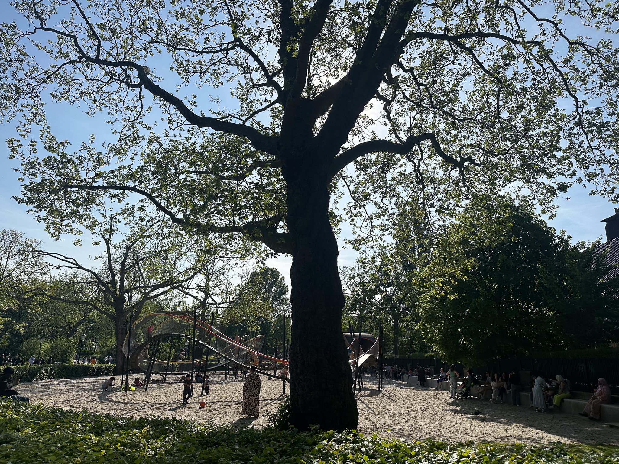 Oosterpark Amsterdam Tranquil Afternoon