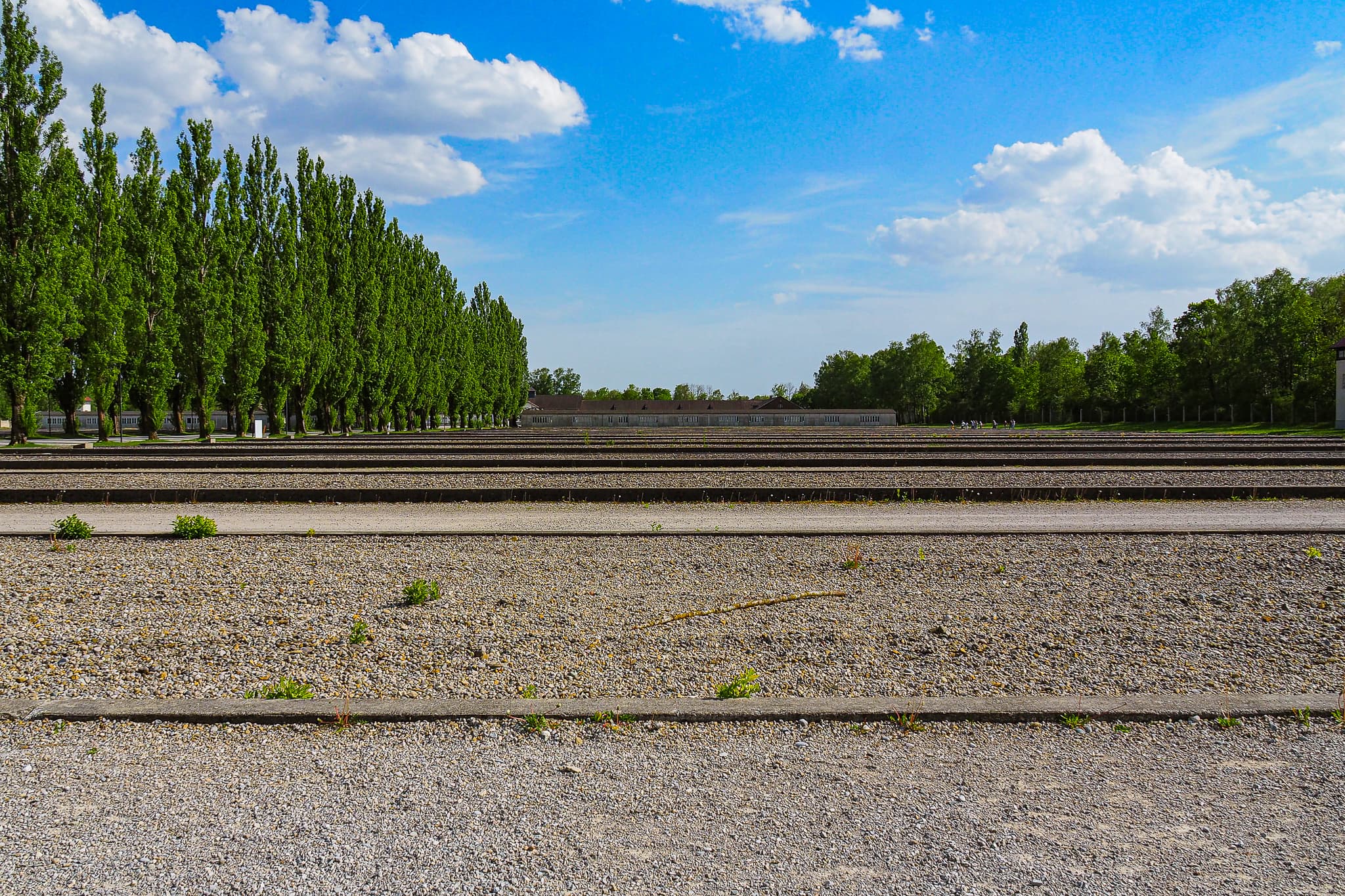 Dachau Concentration Camp Memorial Empty Tracks Poplar Trees